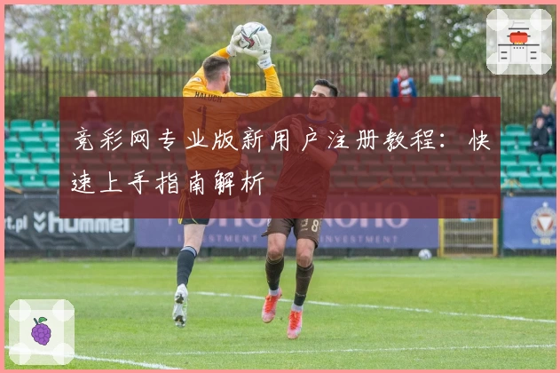 竞彩网专业版新用户注册教程：快速上手指南解析