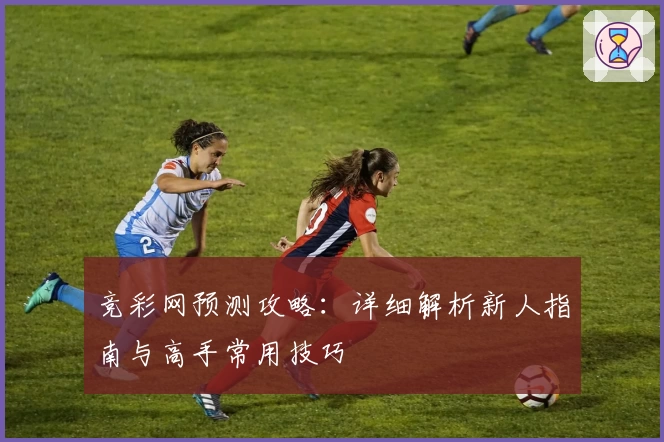 竞彩网预测攻略：详细解析新人指南与高手常用技巧