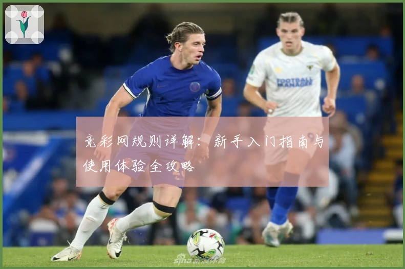 竞彩网规则详解：新手入门指南与使用体验全攻略