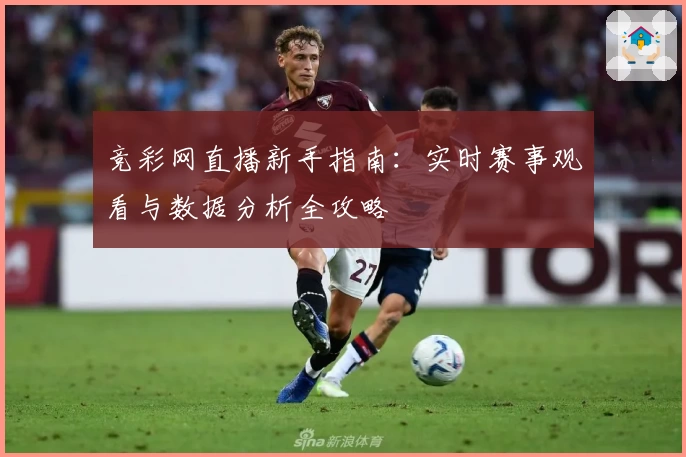 竞彩网直播新手指南:实时赛事观看与数据分析全攻略