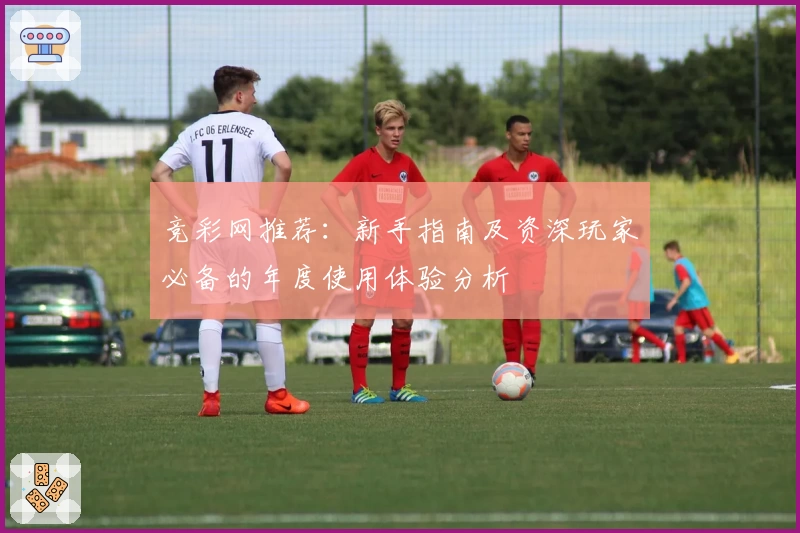 竞彩网推荐：新手指南及资深玩家必备的年度使用体验分析