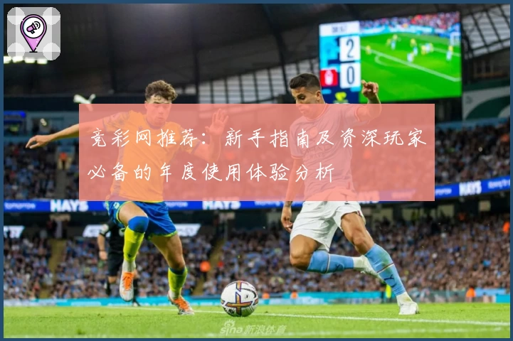 竞彩网推荐：新手指南及资深玩家必备的年度使用体验分析